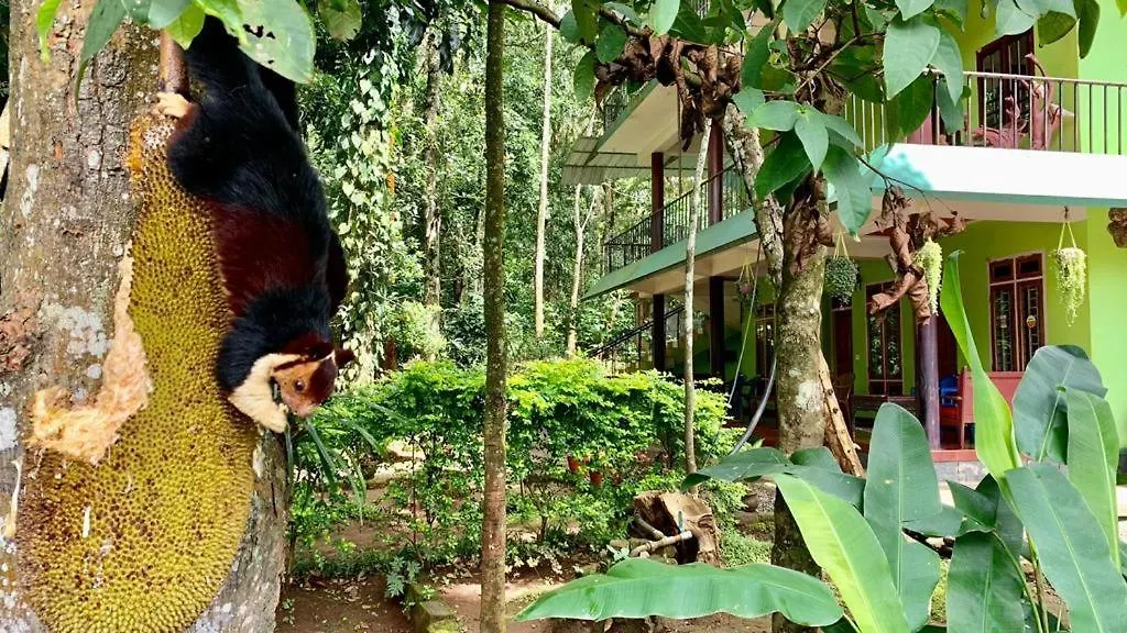 Homestay Jungleview Home Stay Idukki