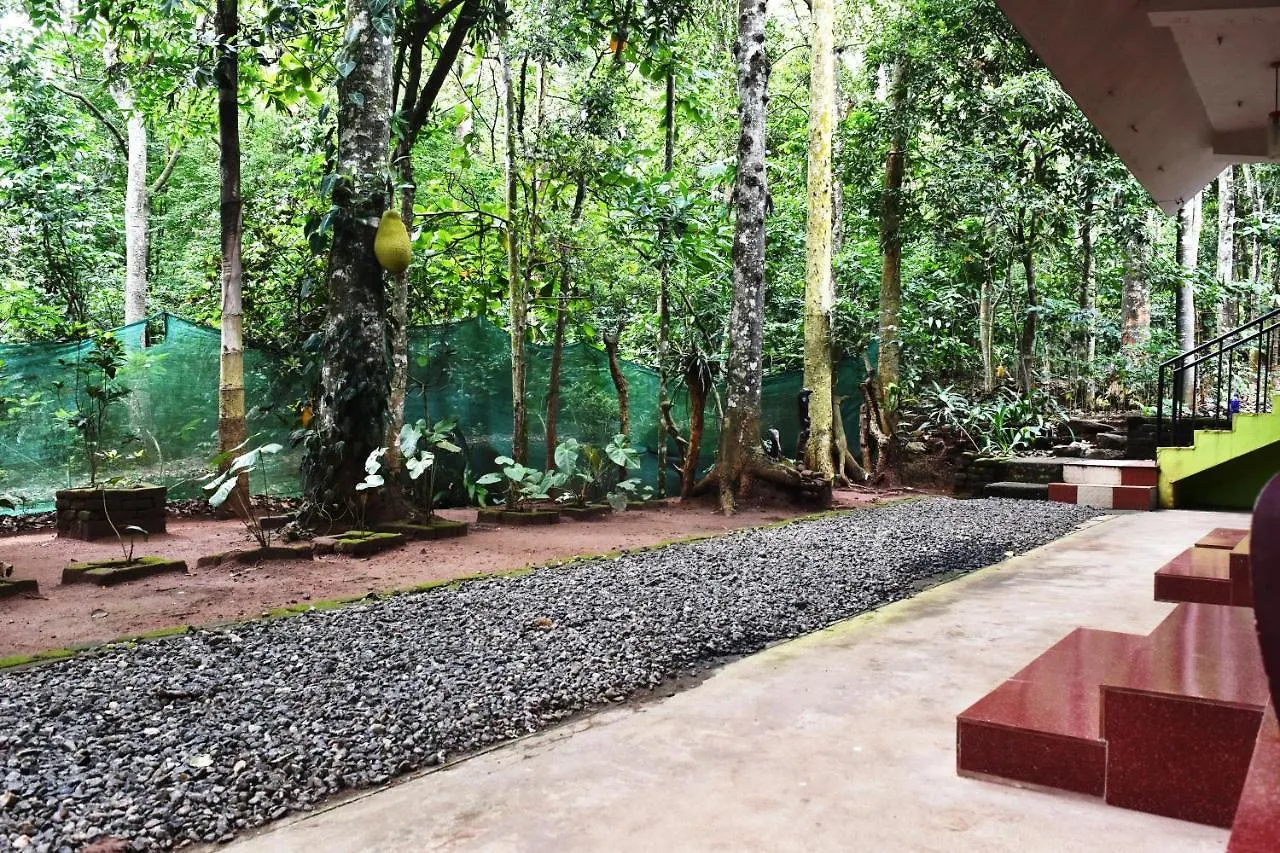 Jungleview Home Stay Idukki India
