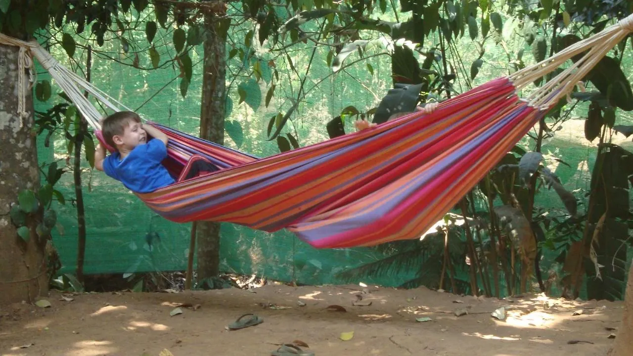 Jungleview Home Stay Idukki