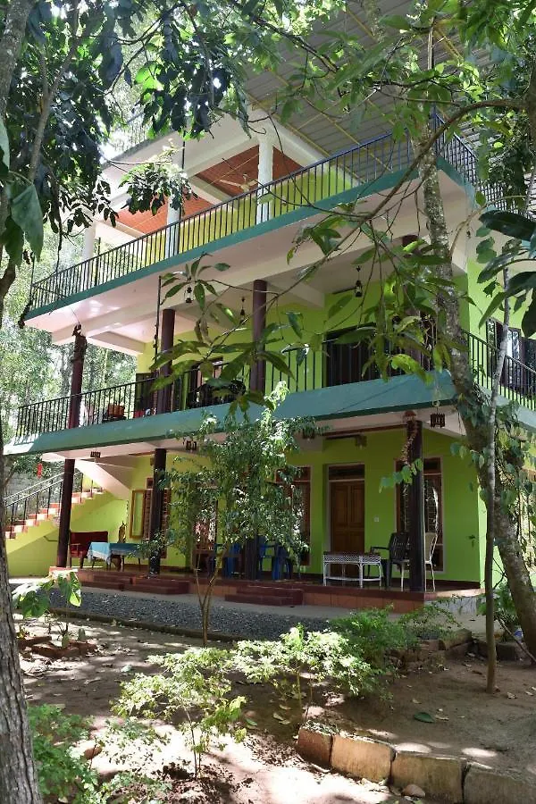 Jungleview Home Stay Idukki