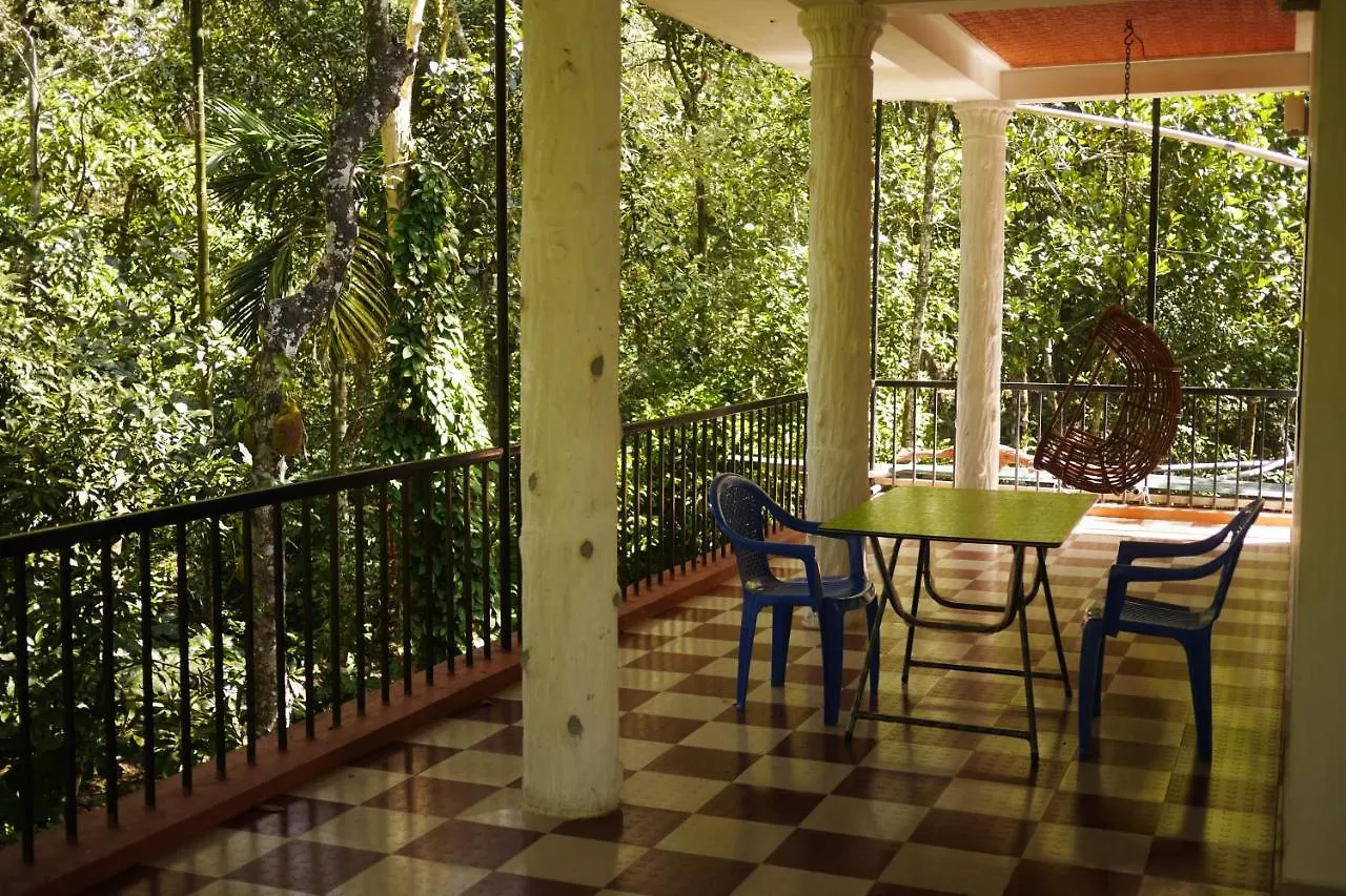 Homestay Jungleview Home Stay Idukki India