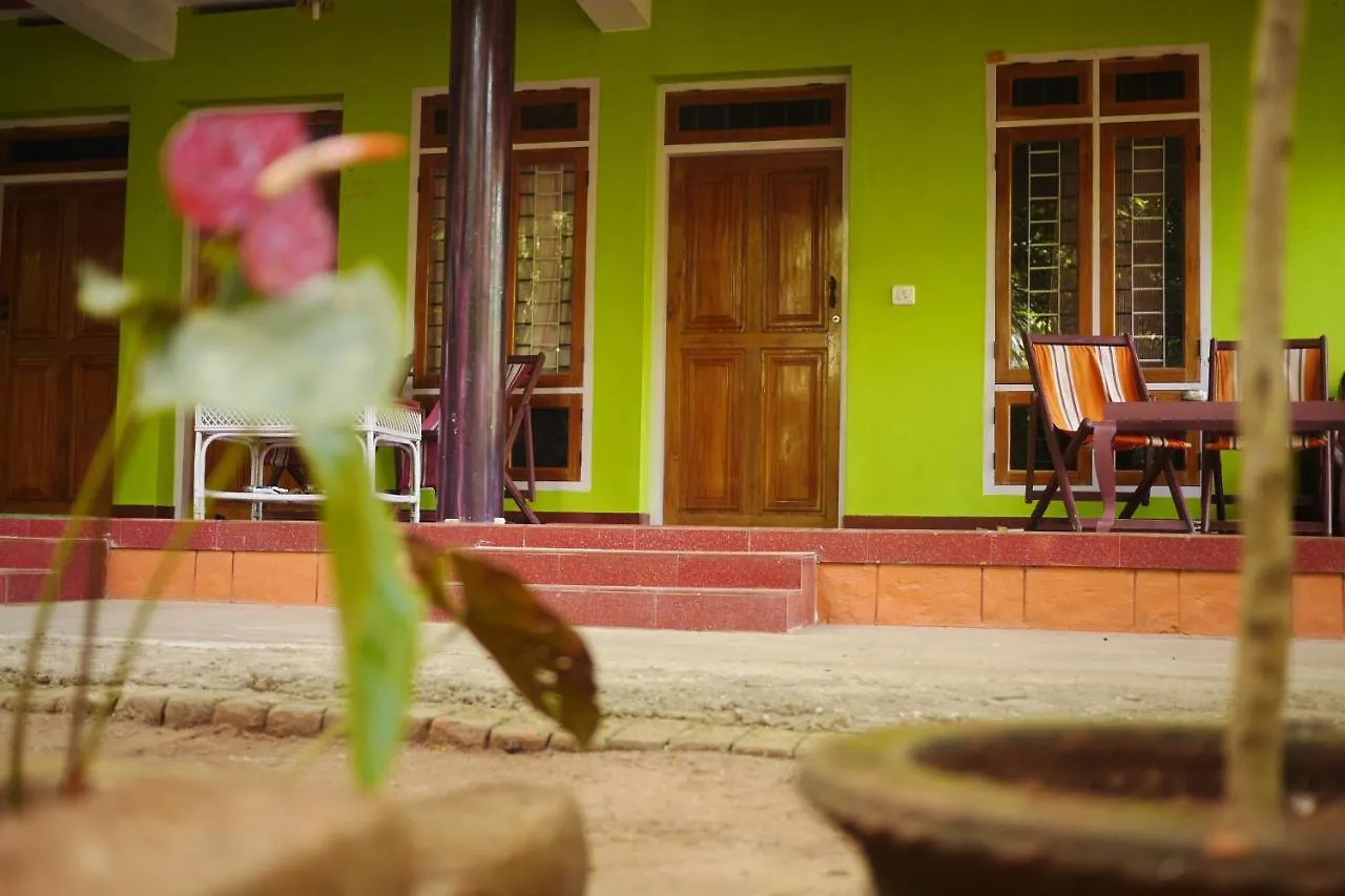 Jungleview Home Stay Idukki