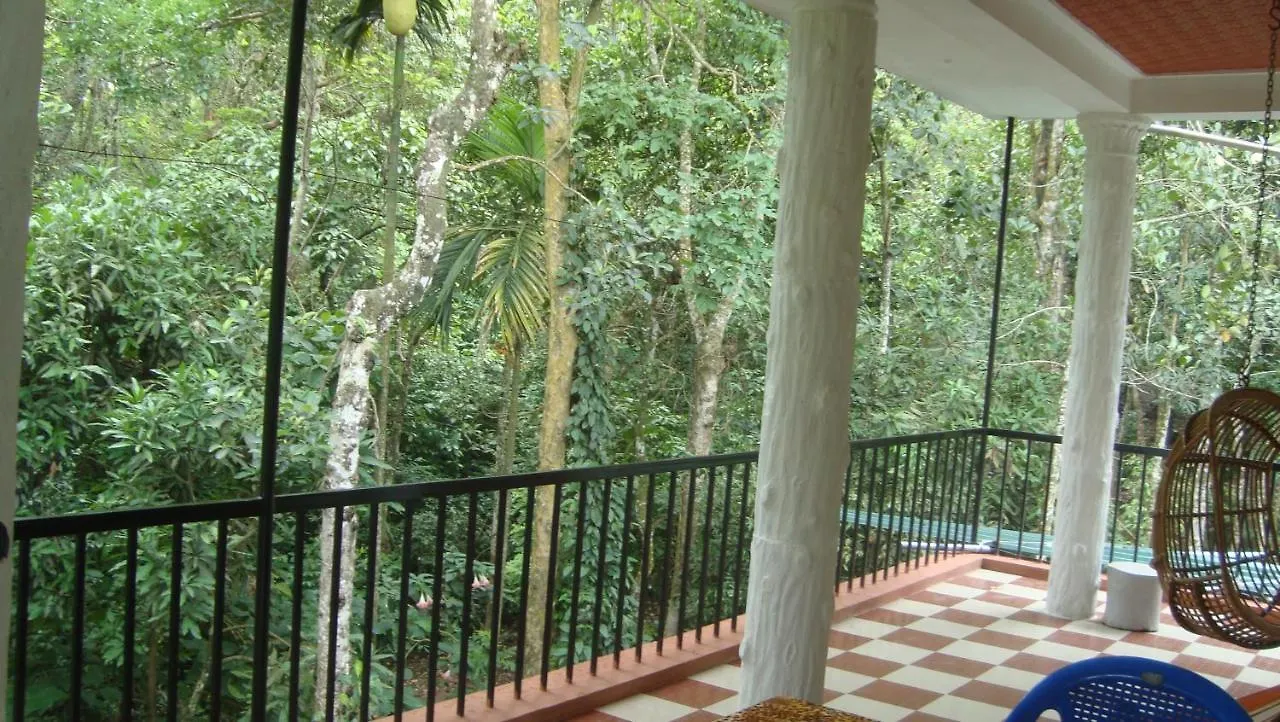Jungleview Home Stay Idukki Homestay