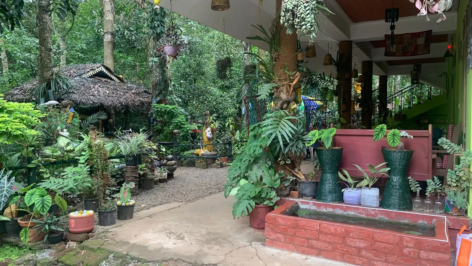 Jungleview Home Stay Idukki India