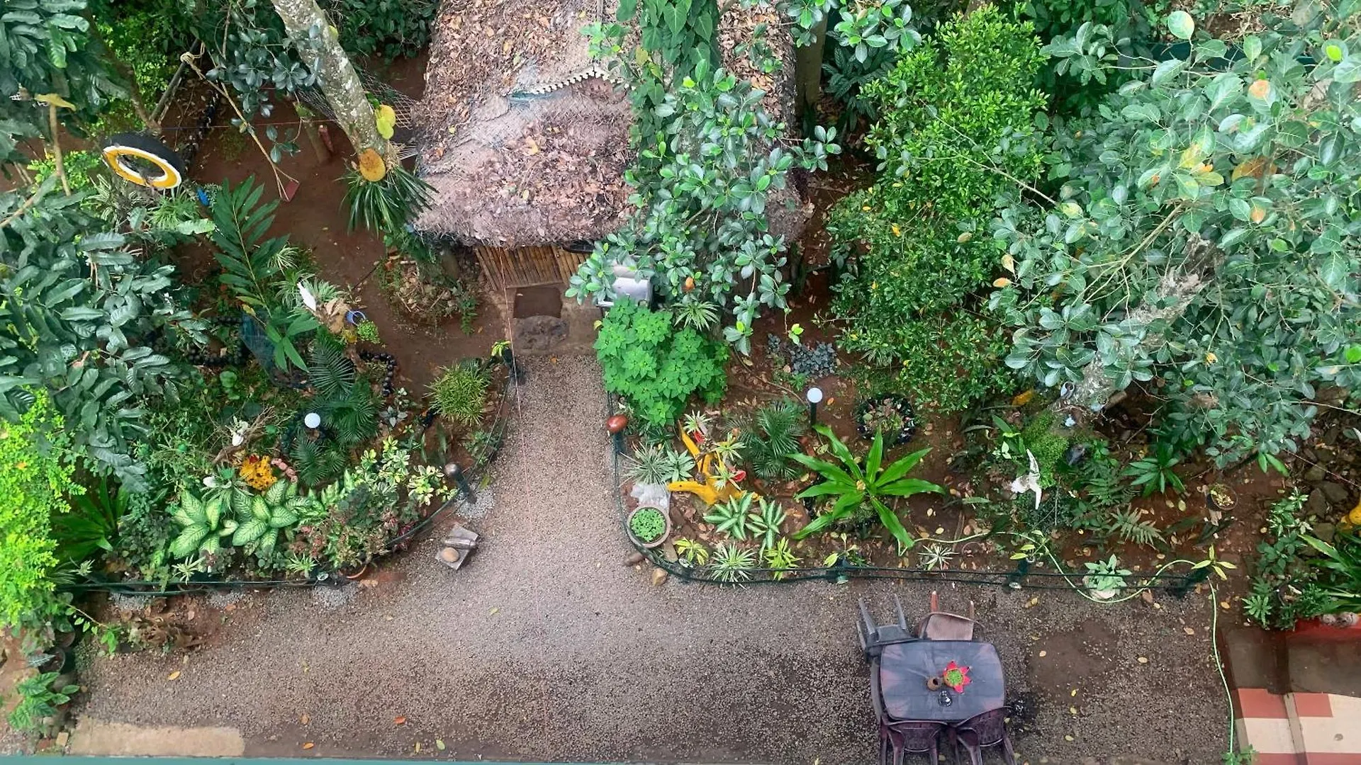 Jungleview Home Stay Idukki 0*,  India