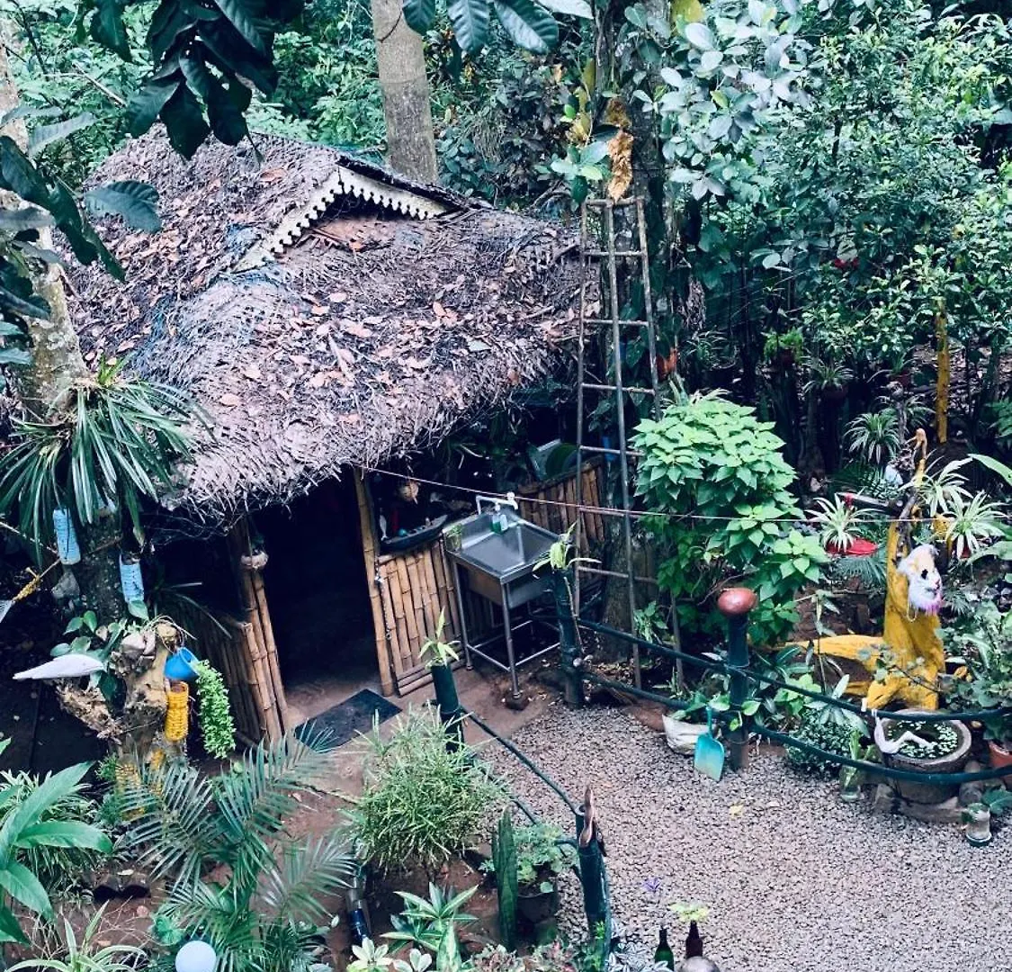 Jungleview Home Stay Idukki Homestay