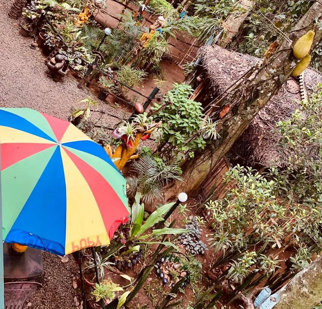 Homestay Jungleview Home Stay Idukki India