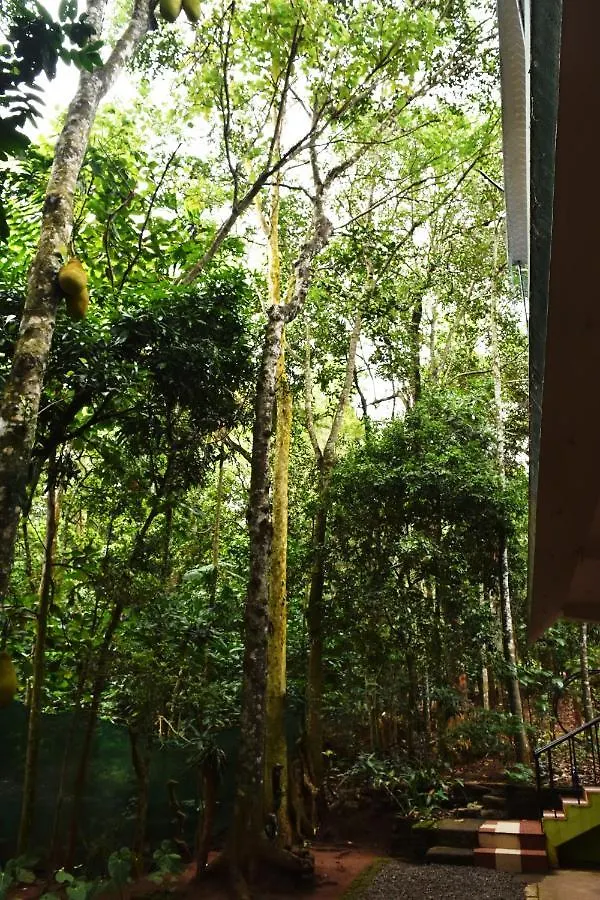 Homestay Jungleview Home Stay Idukki
